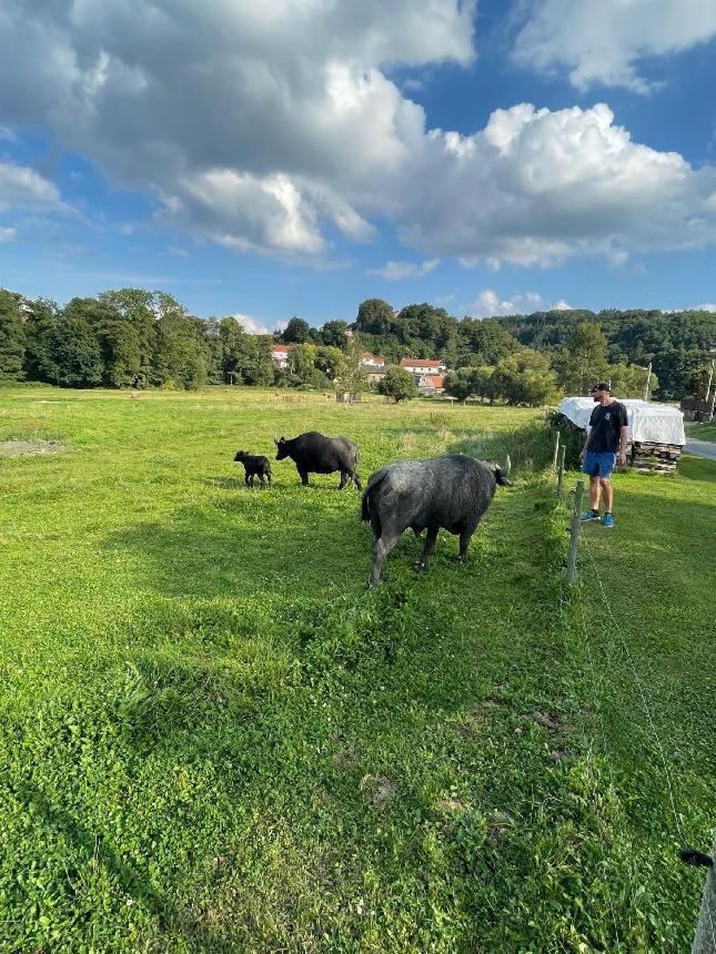 Glamping - Stylova Maringotka V Srdci Ladova Kraje, Pobliz Hlavniho Mesta Prahy Stribrna Skalice Exterior photo