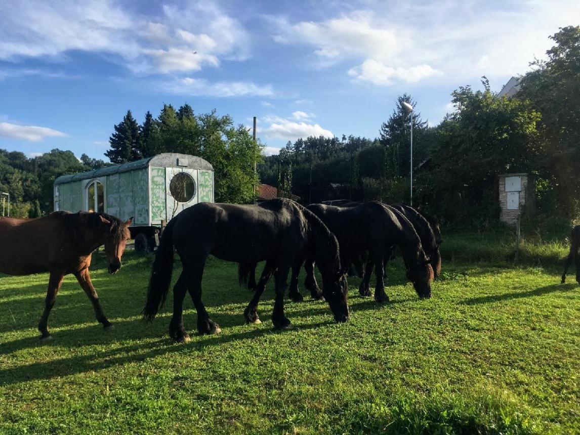 Glamping - Stylova Maringotka V Srdci Ladova Kraje, Pobliz Hlavniho Mesta Prahy Stribrna Skalice Exterior photo