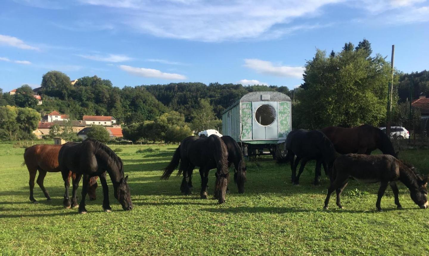 Glamping - Stylova Maringotka V Srdci Ladova Kraje, Pobliz Hlavniho Mesta Prahy Stribrna Skalice Exterior photo